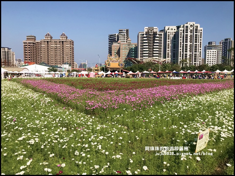 中壢花海27.JPG 中壢花海27.JPG