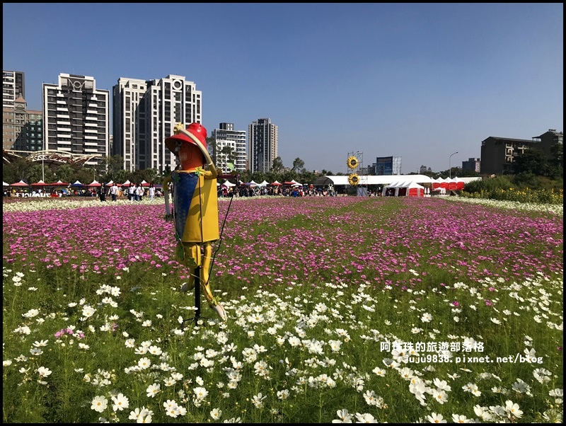 中壢花海29.JPG 中壢花海29.JPG