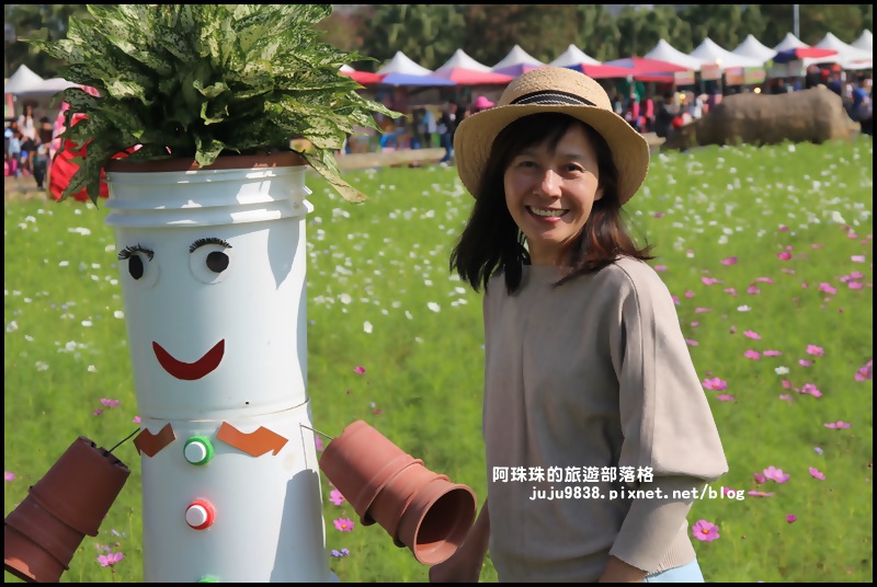 中壢花海2.JPG 中壢花海2.JPG