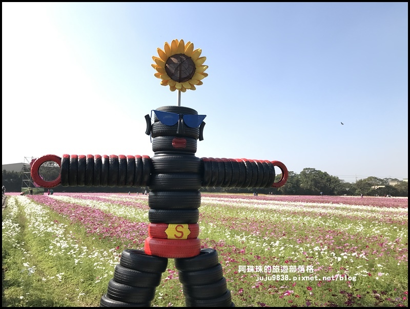 中壢花海37.JPG 中壢花海37.JPG