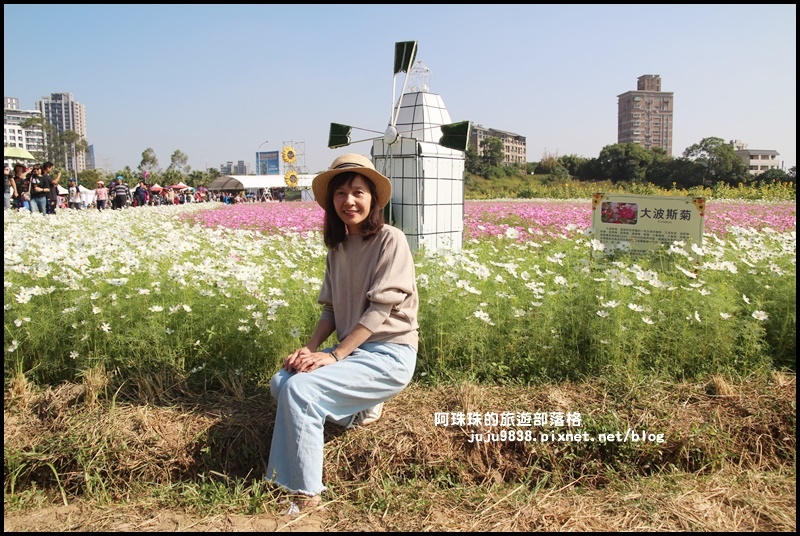 中壢花海4.JPG 中壢花海4.JPG