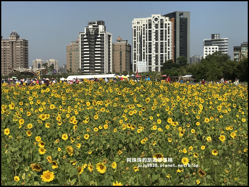 中壢花海34.JPG 中壢花海34.JPG