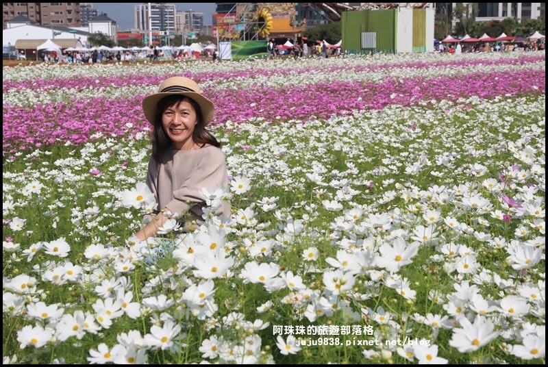 中壢花海10.JPG 中壢花海10.JPG