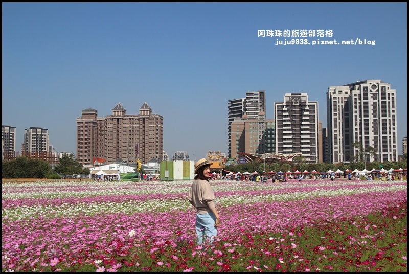 中壢花海12.JPG 中壢花海12.JPG