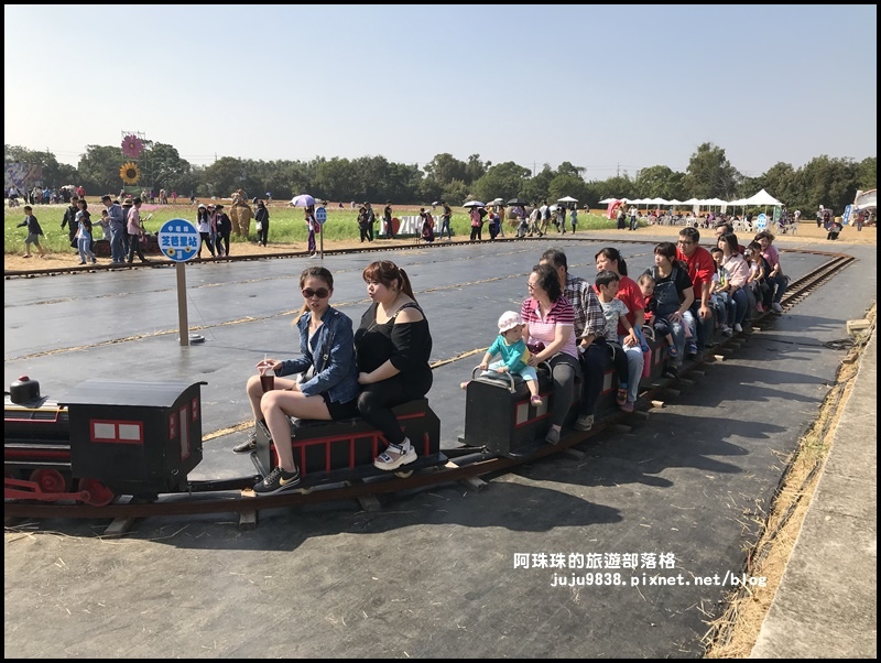 中壢花海40.JPG 中壢花海40.JPG