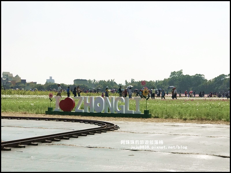 中壢花海42.JPG 中壢花海42.JPG