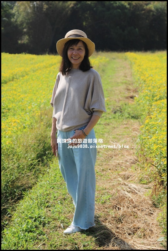 中壢花海16.JPG 中壢花海16.JPG