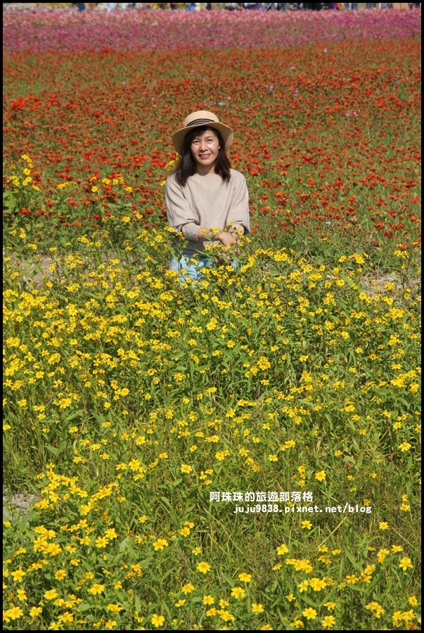 中壢花海14.JPG 中壢花海14.JPG