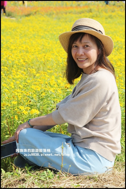 中壢花海43.JPG 中壢花海43.JPG