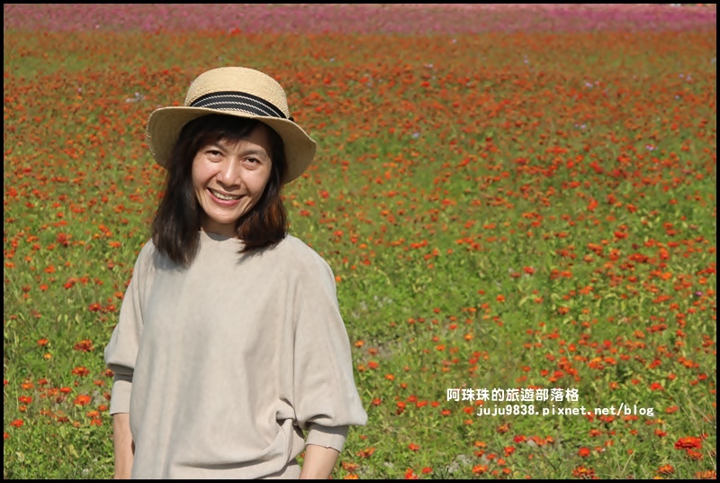 中壢花海15.JPG 中壢花海15.JPG