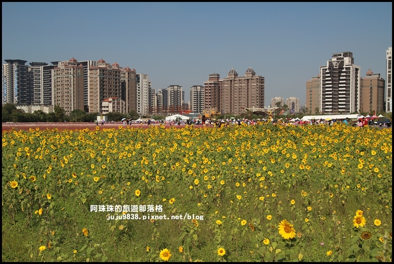 中壢花海19.JPG 中壢花海19.JPG