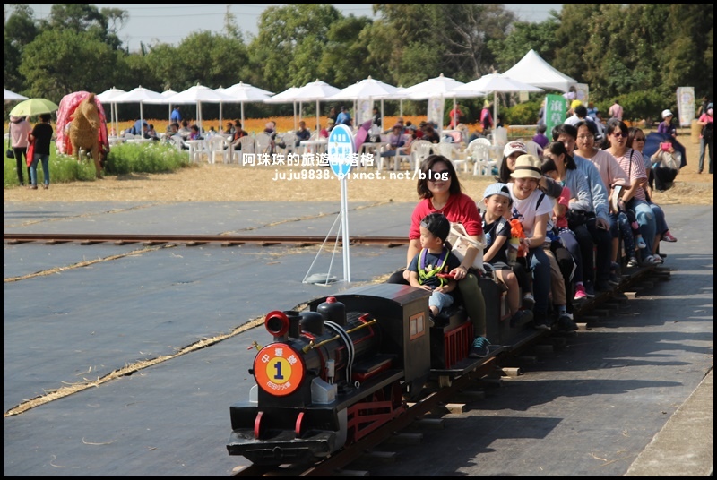 中壢花海20.JPG 中壢花海20.JPG