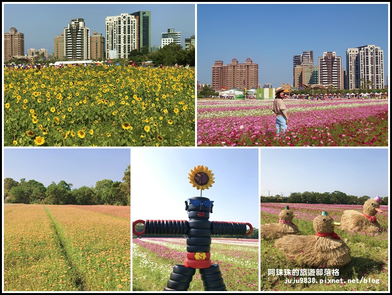 桃園花彩節,中壢展區,大溪展區,花海,百日草,大波斯菊,花田小火車,桃園,中壢,花現中壢,捷運,小火