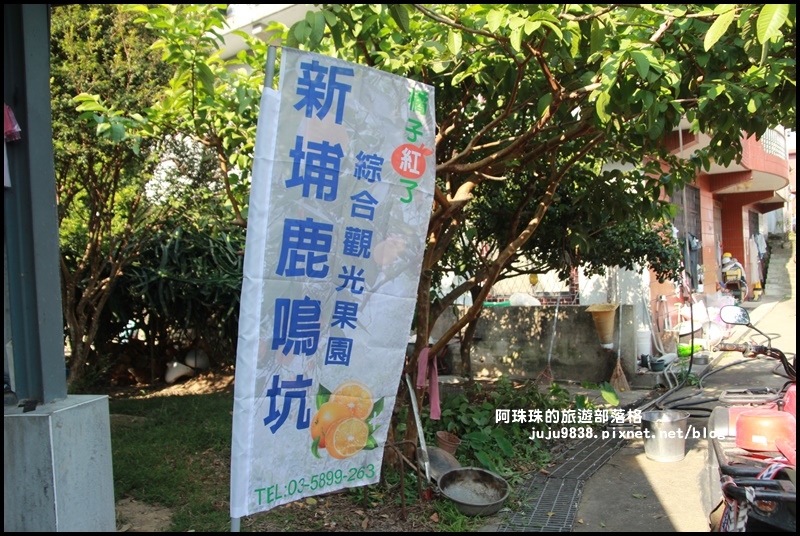 鹿鳴坑觀光果園2.JPG