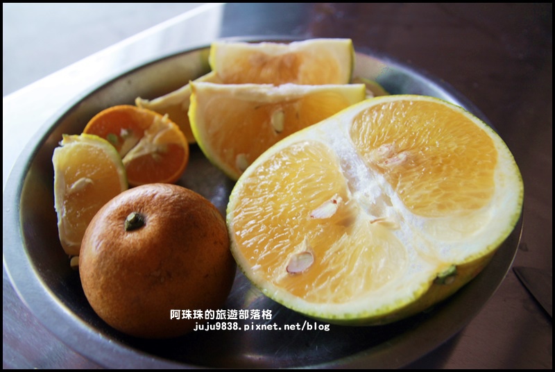 鹿鳴坑觀光果園.JPG 鹿鳴坑觀光果園.JPG