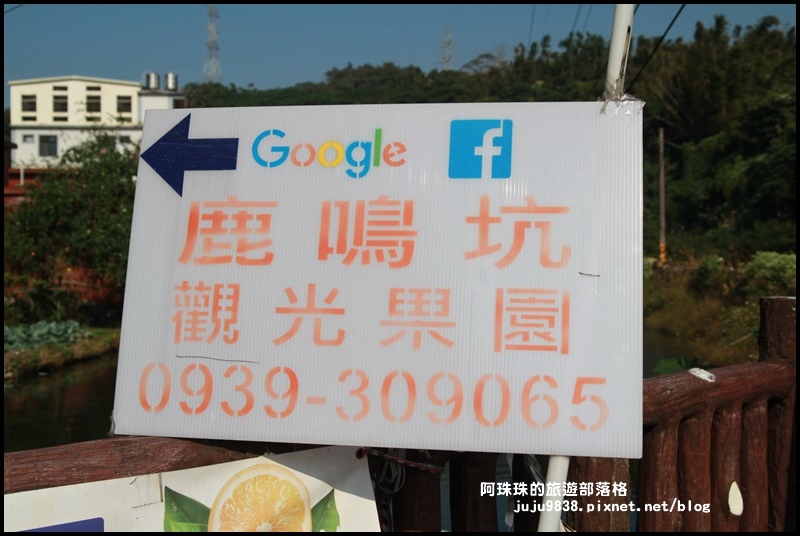 鹿鳴坑觀光果園9.JPG 鹿鳴坑觀光果園9.JPG