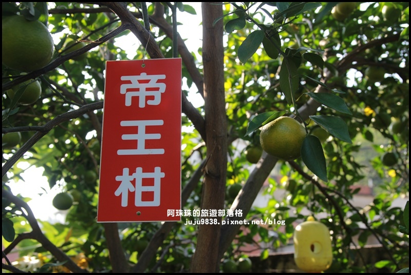 鹿鳴坑觀光果園22.JPG 鹿鳴坑觀光果園22.JPG