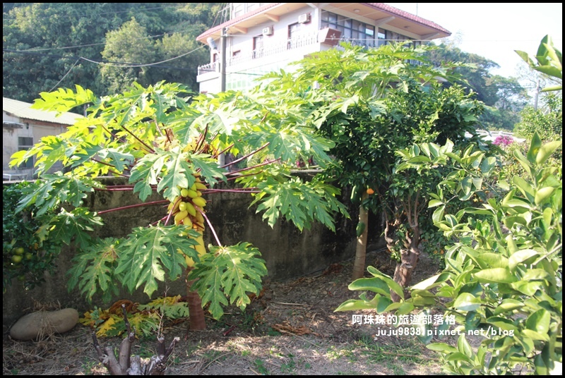 鹿鳴坑觀光果園27.JPG 鹿鳴坑觀光果園27.JPG