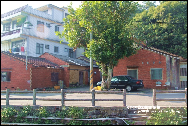 鹿鳴坑觀光果園31.JPG 鹿鳴坑觀光果園31.JPG