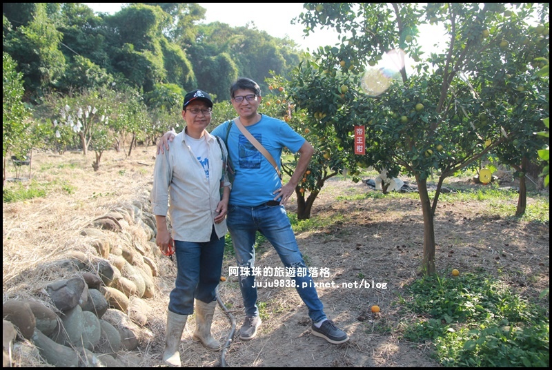 鹿鳴坑觀光果園28.JPG 鹿鳴坑觀光果園28.JPG