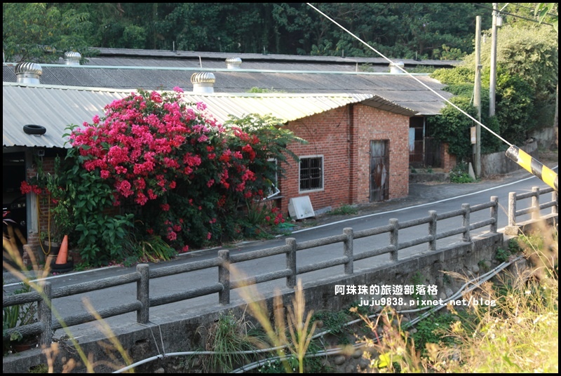 鹿鳴坑觀光果園46.JPG