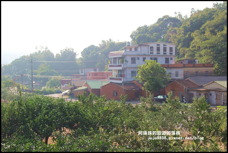 鹿鳴坑觀光果園41.JPG 鹿鳴坑觀光果園41.JPG