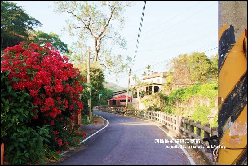 鹿鳴坑觀光果園47.JPG 鹿鳴坑觀光果園47.JPG