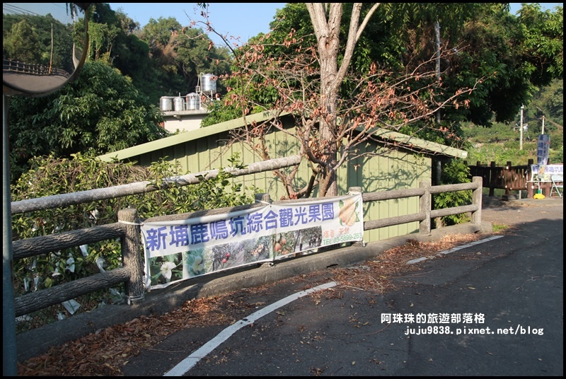 鹿鳴坑觀光果園52.JPG 鹿鳴坑觀光果園52.JPG