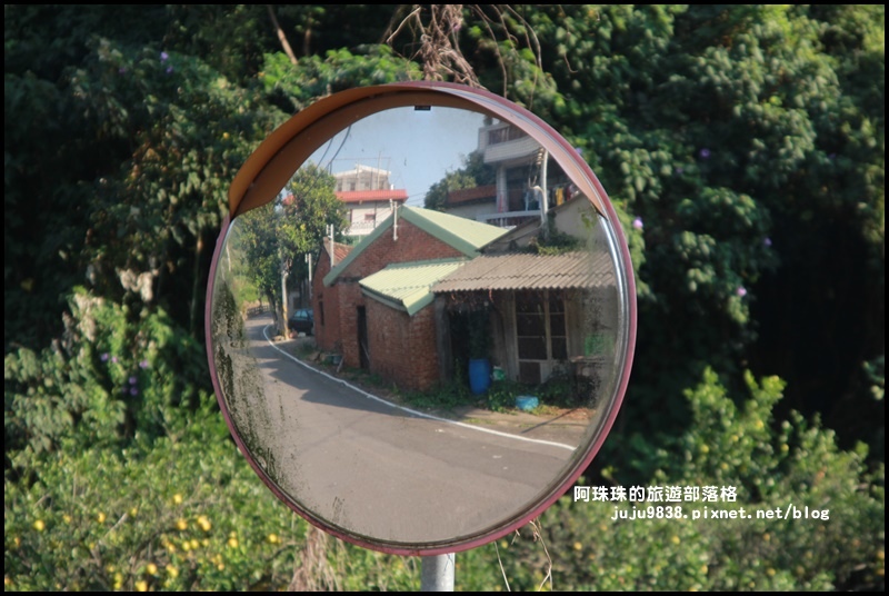 鹿鳴坑觀光果園49.JPG 鹿鳴坑觀光果園49.JPG