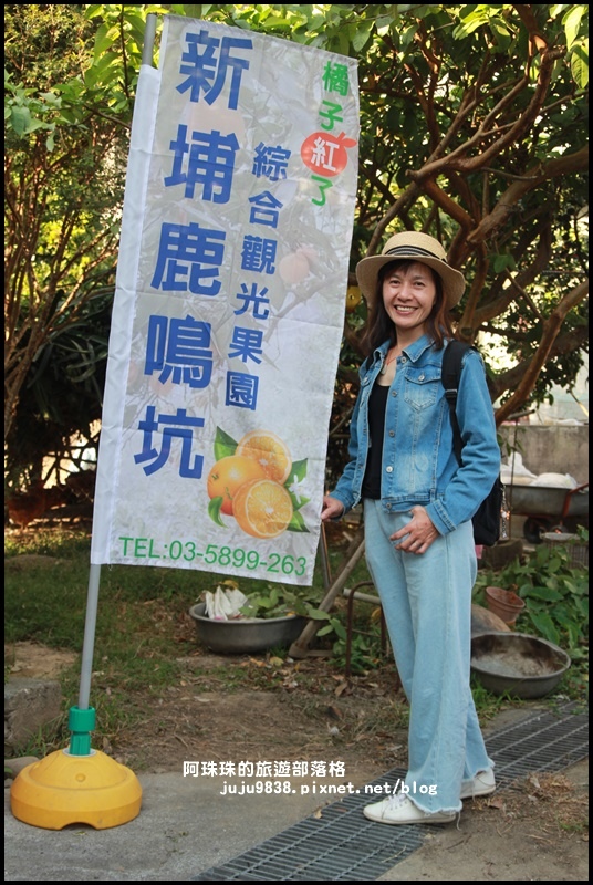 鹿鳴坑觀光果園53.JPG 鹿鳴坑觀光果園53.JPG