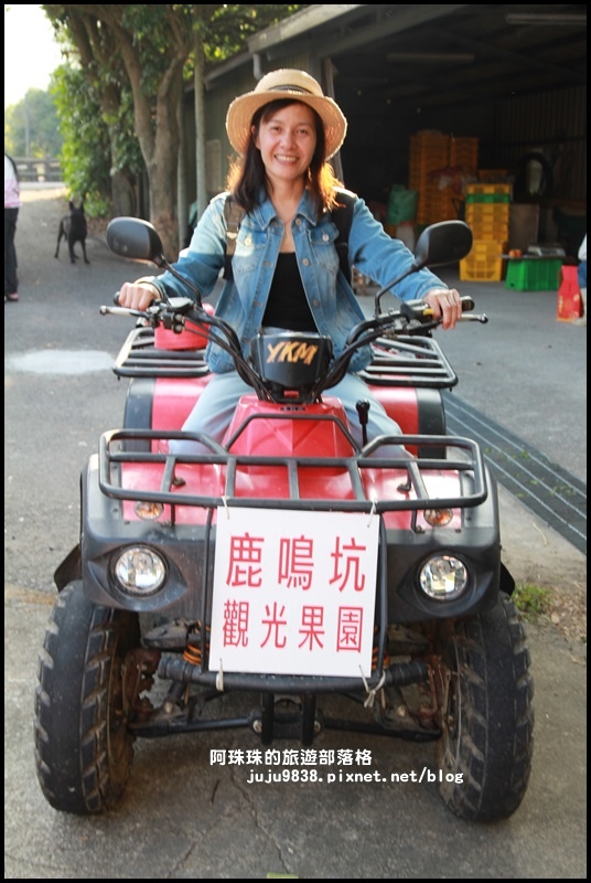 鹿鳴坑觀光果園54.JPG 鹿鳴坑觀光果園54.JPG