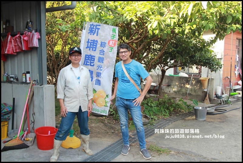 鹿鳴坑觀光果園62.JPG 鹿鳴坑觀光果園62.JPG