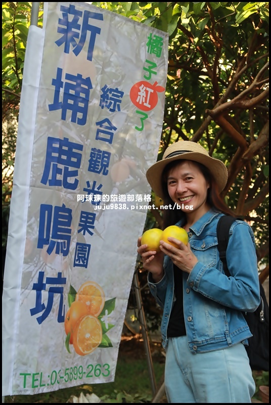 鹿鳴坑觀光果園58.JPG 鹿鳴坑觀光果園58.JPG