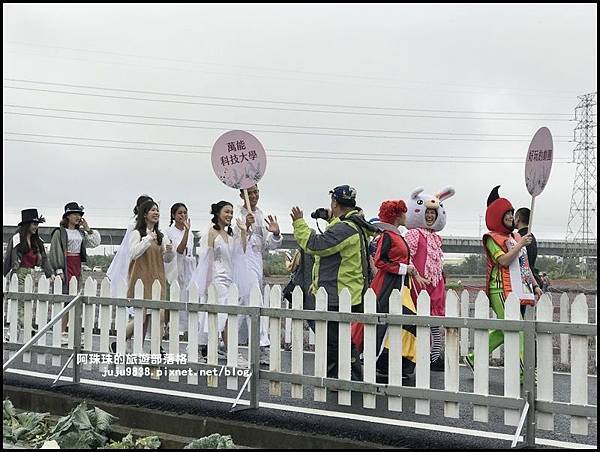 楊梅仙草節48.JPG
