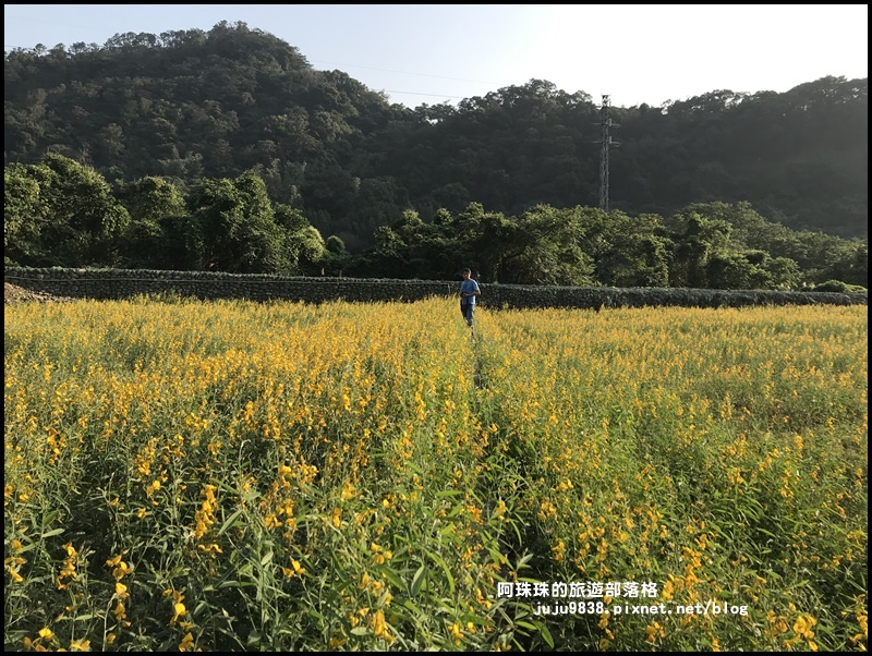 太陽麻花海18.JPG