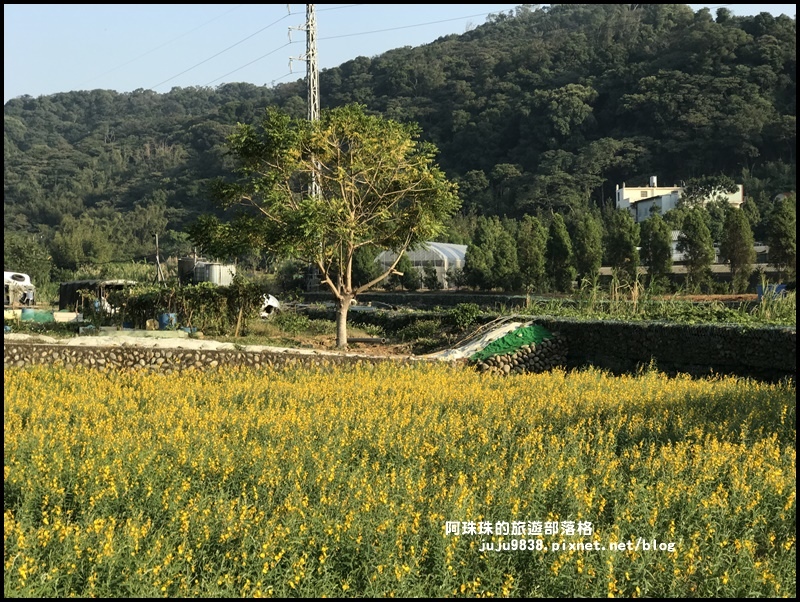 太陽麻花海23.JPG