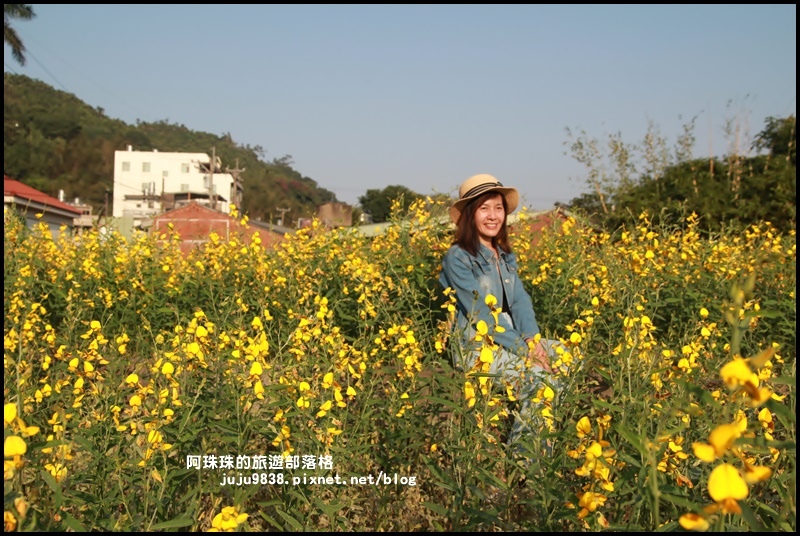 太陽麻花海7.JPG