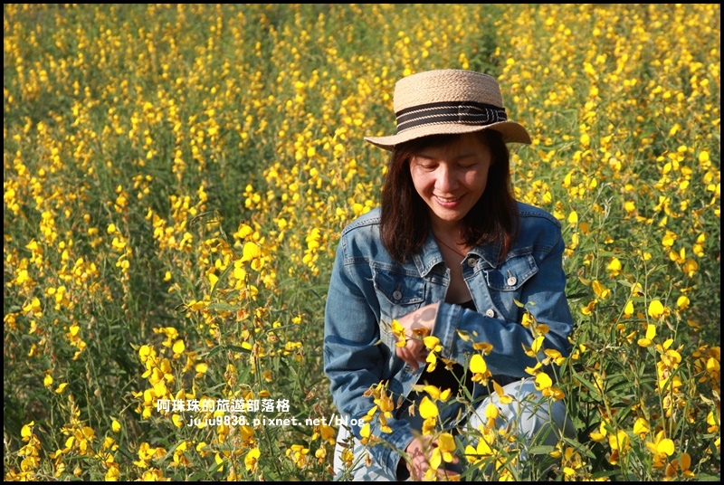太陽麻花海13.JPG
