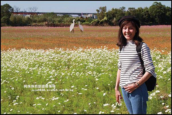 平鎮花彩節12.JPG