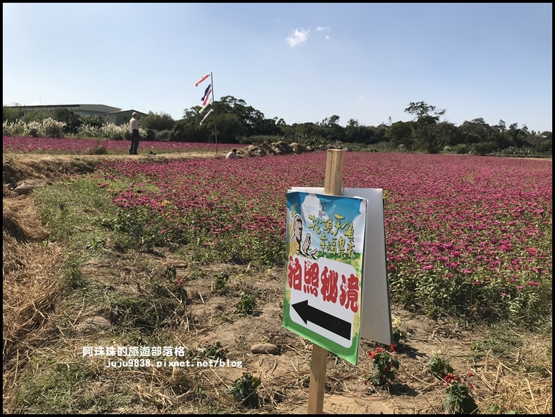 平鎮花彩節56.JPG