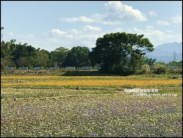 平鎮花彩節59.JPG