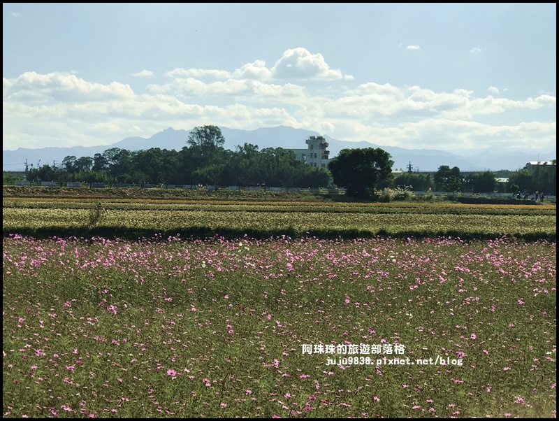 平鎮花彩節65.JPG