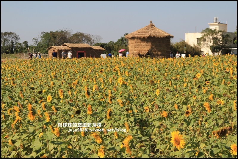 平鎮花彩節31.JPG