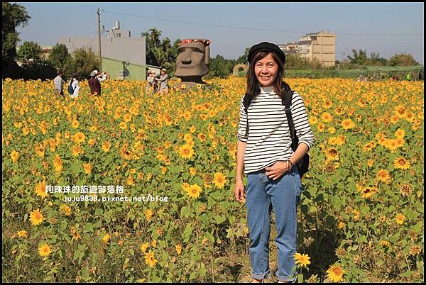 平鎮花彩節28.JPG