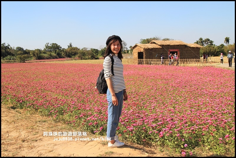 平鎮花彩節29.JPG