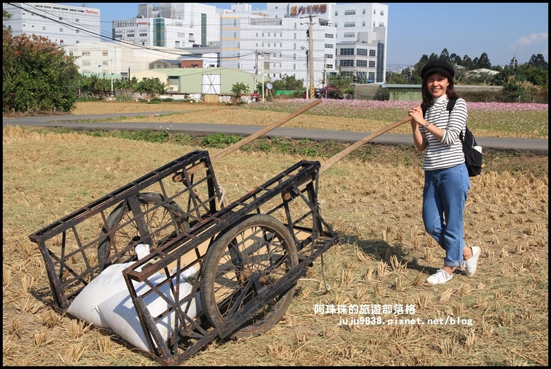 平鎮花彩節41.JPG