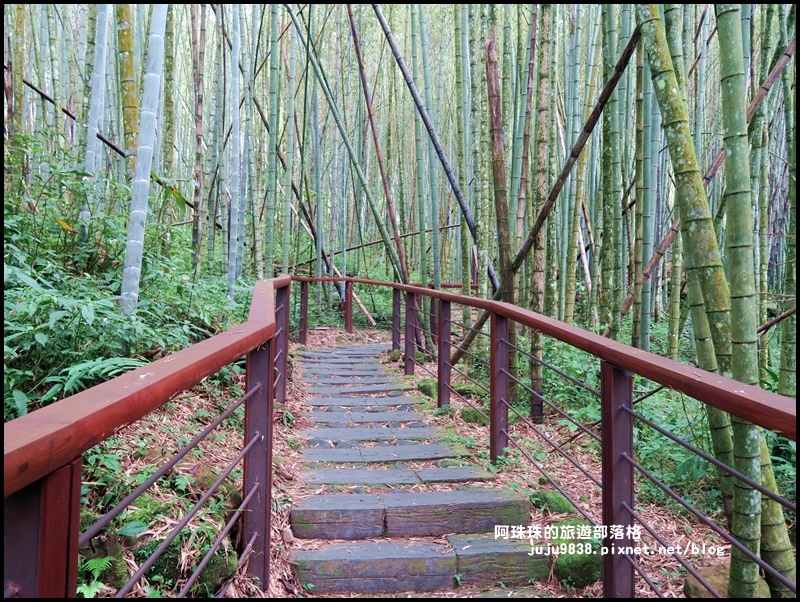 迷糊步道15.JPG