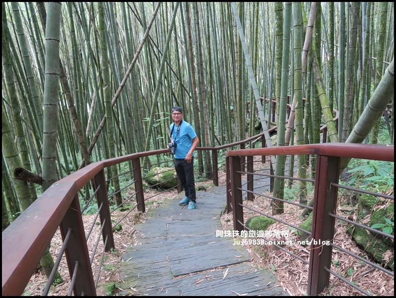 迷糊步道19.JPG 迷糊步道19.JPG