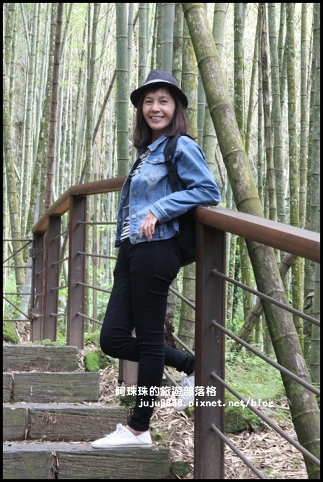 迷糊步道2.JPG 迷糊步道2.JPG