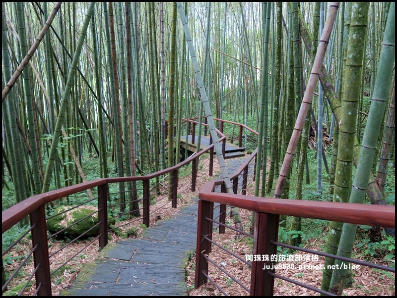 迷糊步道22.JPG 迷糊步道22.JPG